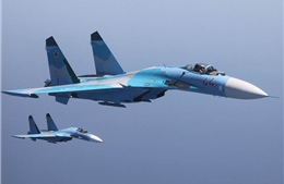 Ukraine bảo trì động cơ SU-27 cho Việt Nam 